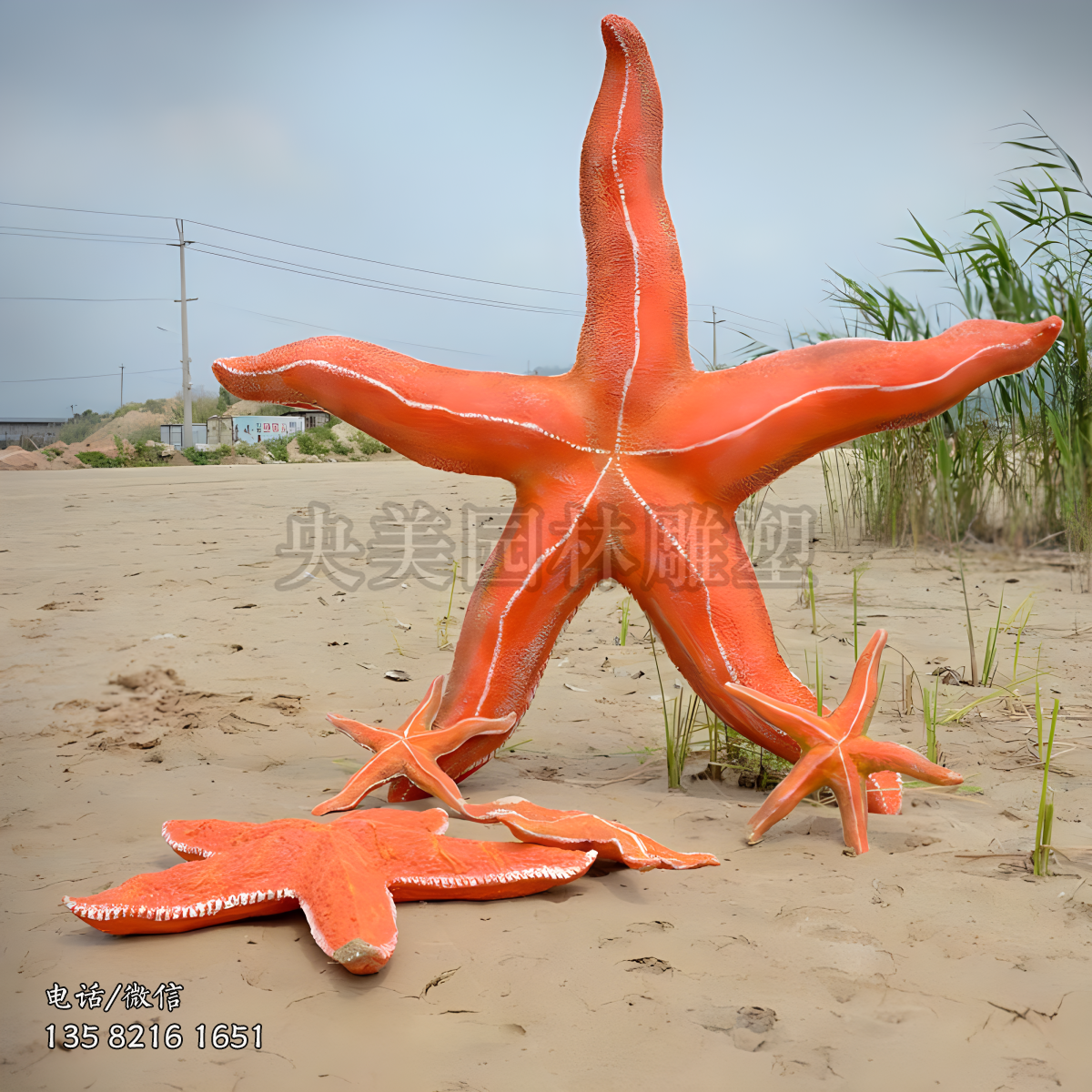 玻璃钢仿真海星雕塑