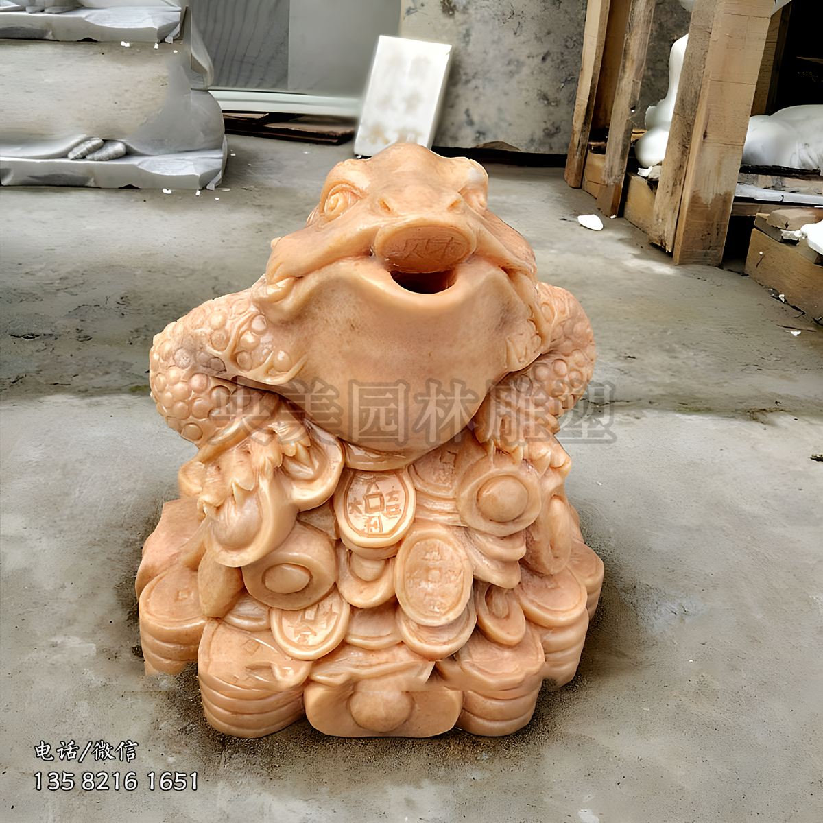 喷水金蟾晚霞红赢博官网蟾蜍