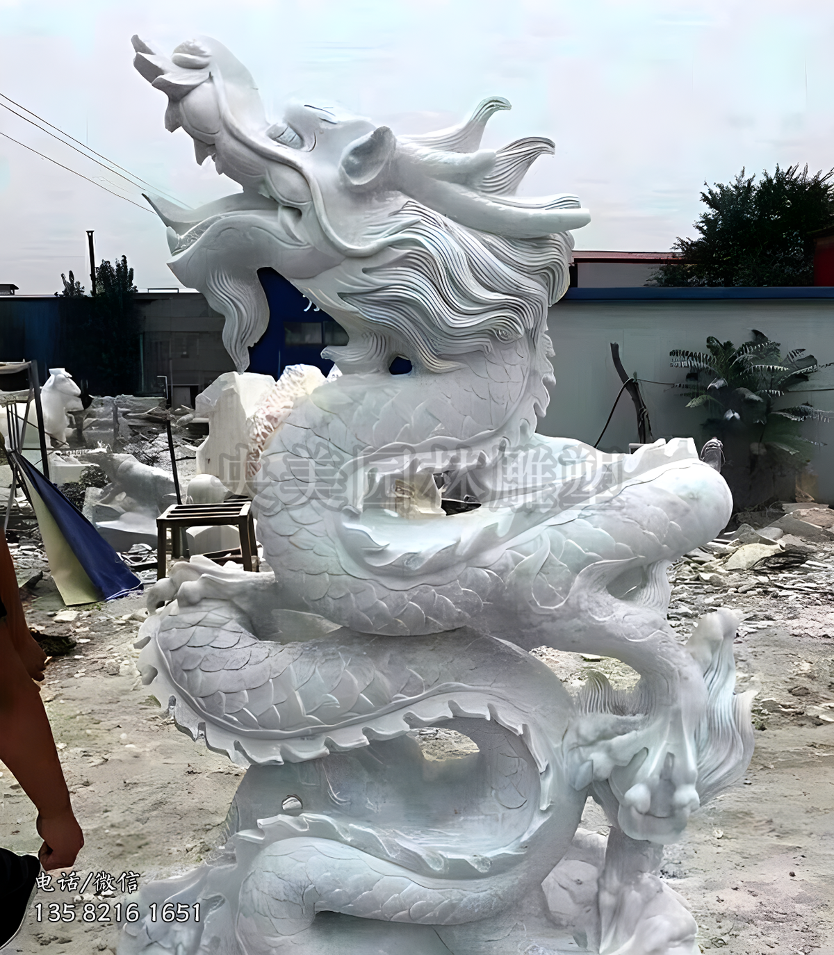 直立而上的赢博官网龙