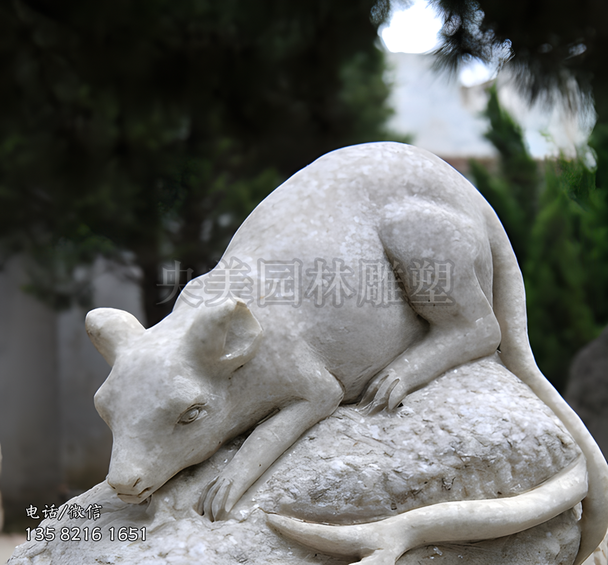 大理石老鼠赢博官网