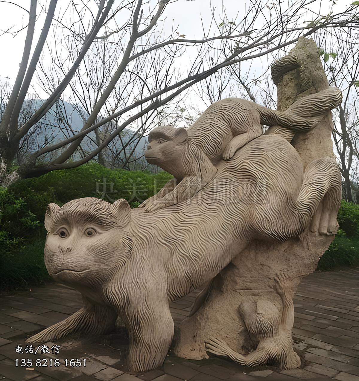 下山猴子景观赢博官网