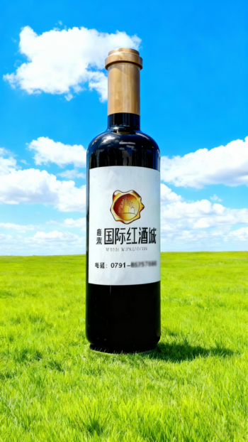 玻璃钢仿真酒瓶雕塑 (7)