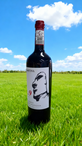 玻璃钢仿真酒瓶雕塑 (12)