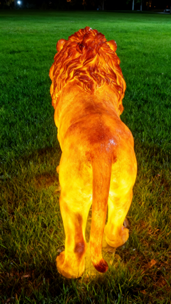 玻璃钢仿真狮子雕塑 (20)