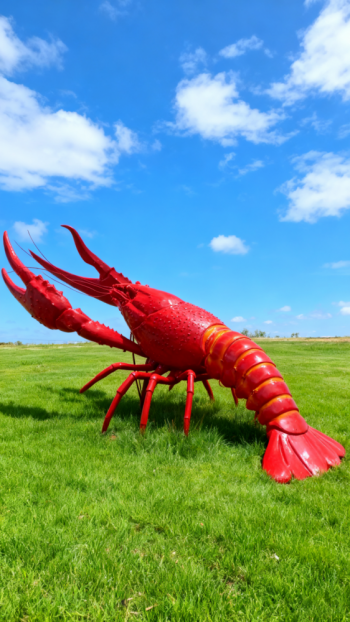 玻璃钢龙虾雕塑 (20)
