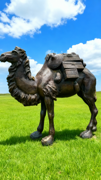 玻璃钢骆驼仿铜雕塑 (11)