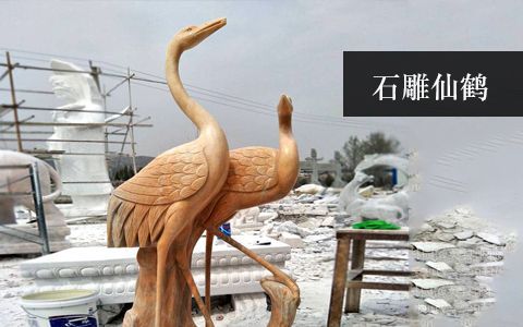 赢博官网仙鹤