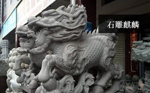 赢博官网麒麟
