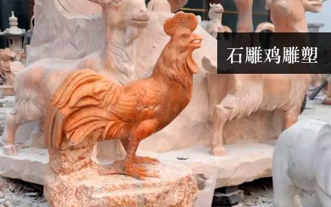 赢博官网鸡