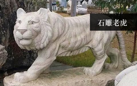 赢博官网老虎