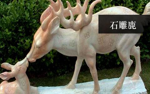 赢博官网鹿